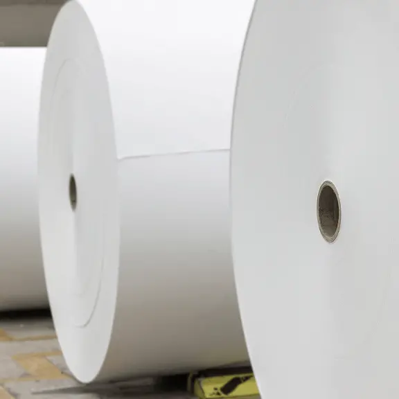 紙の原料となる巨大なロール紙が並んでいる写真。製紙工程で石灰が使用されることを説明するためのイメージ。